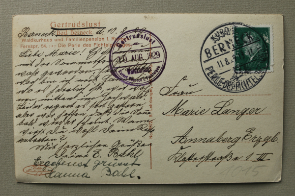 AK Berneck / 1929 / Waldkurhaus und Familienpension Gertrudslust